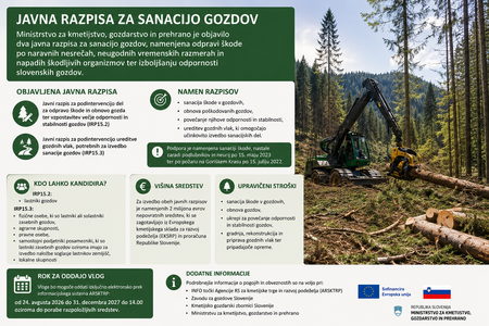 JAVNI RAZPIS ZA SANACIJO GOZDOV