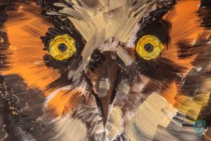 F_Brezar-Small-2019-02-19_19-09-03