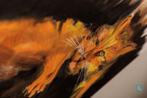 F_Brezar-Small-2019-02-19_19-09-34