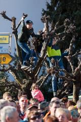 F_Brezar-Small-2019-03-03_14-57-44