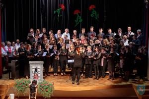 F_Brezar-Small-2019-05-17_20-14-27