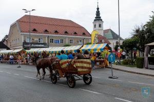 F_Brezar-Small-2019-06-15_11-53-49