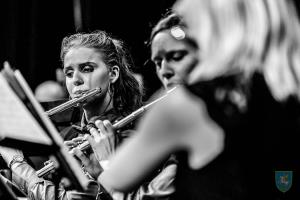 F_Brezar-Small-2019-06-21_20-13-35