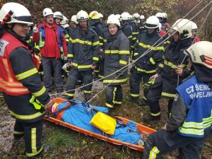 74894411_1277615065773155_236291044583407616_n