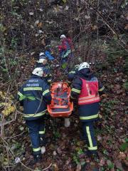 75210329_1277615115773150_3822647363046998016_n