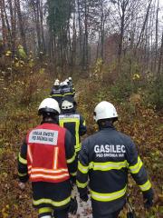 75435832_1277615172439811_890094592995622912_n