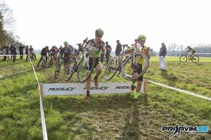 CX_Sencur_2019_2020-0327