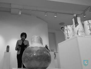 V_Ulcar-Small-2020-01-21_20-00-59