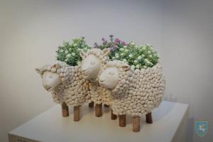 V_Ulcar-Small-2020-01-21_20-30-40