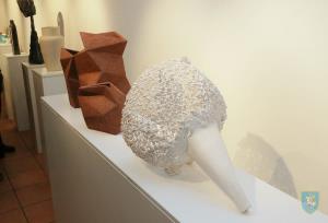 V_Ulcar-Small-2020-01-21_20-30-50