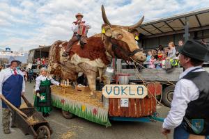 F_Brezar-Small-2020-02-23_14-44-37