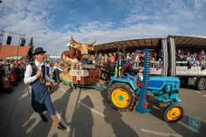 F_Brezar-Small-2020-02-23_14-41-03