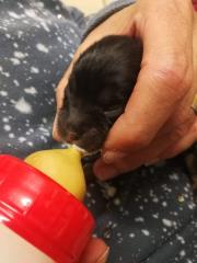 93648651_3027805233929271_2275104181679292416_n