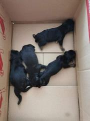 94122271_3027805123929282_7706950519226368000_n