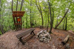 l_206824F_Brezar-2016-04-25_12-58-58