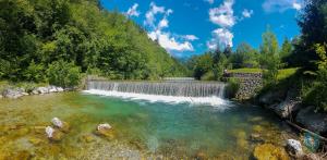 F_Brezar-Small-2020-07-04_11-11-53