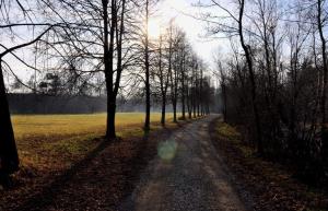 DSC_2230_ucna_pot_ob_reki_kokri_big