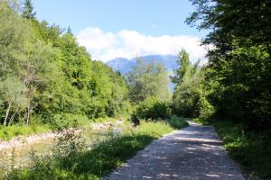 Ucna-pot-ob-reki-Kokri---Visit-Kranj-2