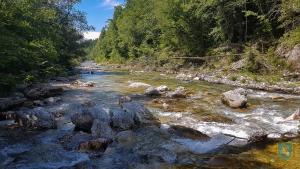 F_Brezar-Small-2020-07-04_11-13-54