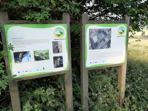 20190619_070334_Fotor