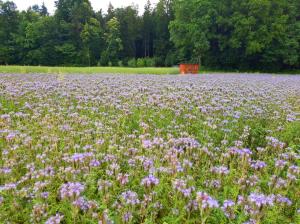 20190621_141710_Fotor