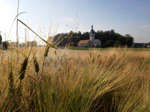 20190619_070947_Fotor