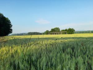 20190619_070212_Fotor