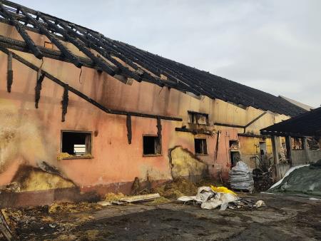 275226835_452250610022975_7508992340308880858_n