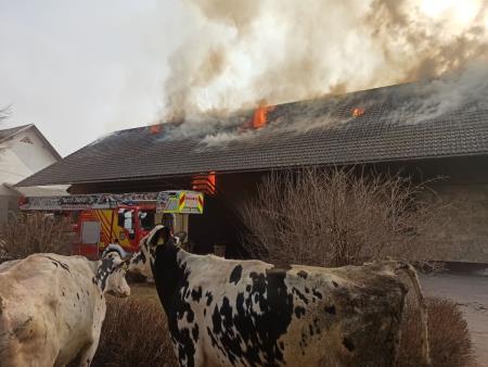 275956006_452250243356345_6710225355521105073_n