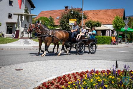 F_Brezar-Small-2022-06-04_12-21-59