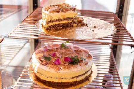 F_Brezar-Small-2022-06-04_12-42-31