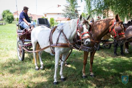 F_Brezar-Small-2022-06-04_13-44-12