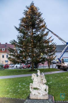 F_Brezar-Small-2022-12-02_17-24-24