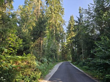 Preplastitev povezovalne ceste Šenčur - Voglje preko "Kurje vasi"