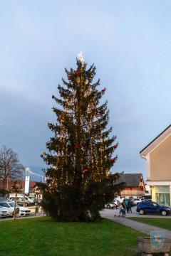 F_Brezar-Small-2024-12-06_16-34-41