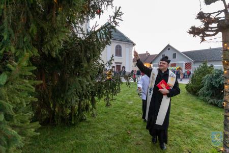 F_Brezar-Small-2024-12-06_16-27-18