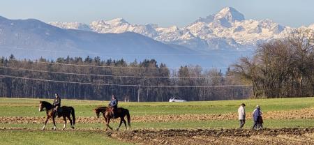 0666bd3a-e431-4db5-9f08-058b3751c016