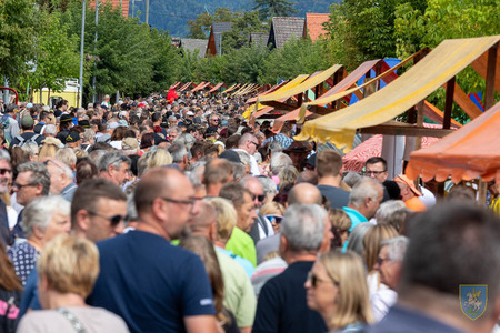 F_Brezar-Small-2025-09-06_12-34-23