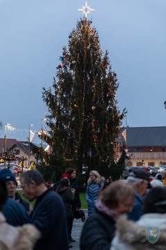 F_Brezar-Small-2025-12-05_16-26-31