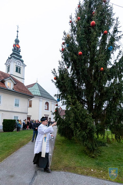 F_Brezar-Small-2025-12-05_16-15-48